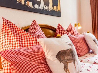 Holiday apartment House Sprenzel - Apartment Jakob - Features photo 13