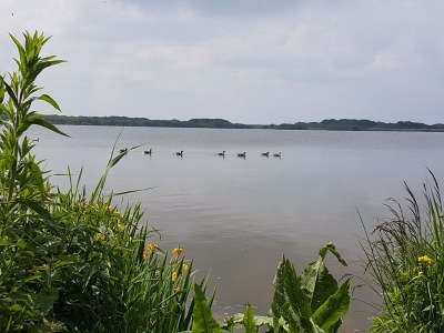 Holiday house De Blenck / Callantsoog - Environment photo 19