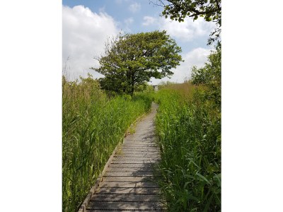 Holiday house De Blenck / Callantsoog - Environment photo 20