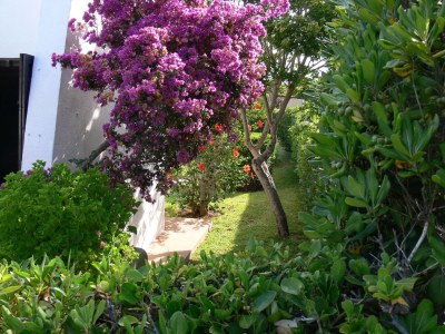 Holiday house Erholung im Garten und am Strand - Outdoor photo 7