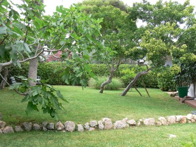 Holiday house Erholung im Garten und am Strand - Outdoor photo 8