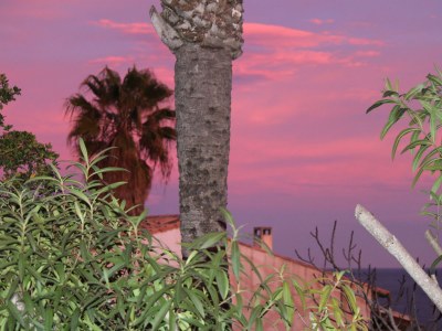 Holiday house Erholung im Garten und am Strand - Outdoor photo 9