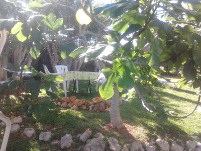 Holiday house Erholung im Garten und am Strand - Outdoor photo 10