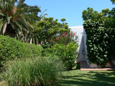 Holiday house Erholung im Garten und am Strand - Outdoor photo 11