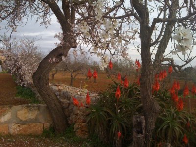 Holiday house Erholung im Garten und am Strand - Environment photo 25