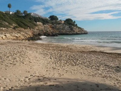 Holiday house Erholung im Garten und am Strand - Environment photo 26