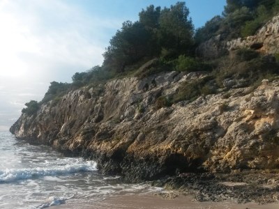 Holiday house Erholung im Garten und am Strand - Environment photo 27