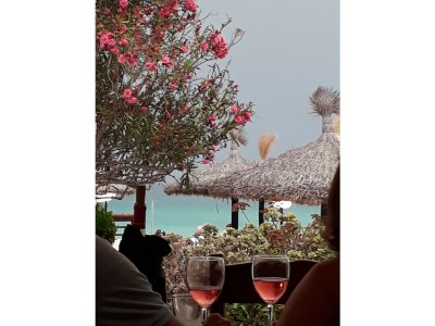 Holiday house Erholung im Garten und am Strand - Environment photo 28