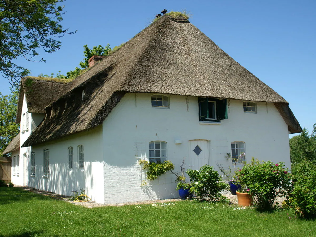 Holiday house Poppenbüll thatched house