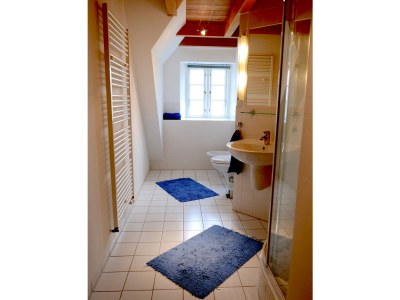 Holiday house Poppenbüll thatched house - Features photo 30