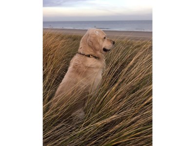 Holiday house Martina - Environment photo 32