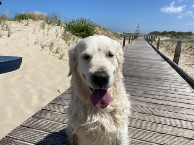 Holiday house Martina - Environment photo 34