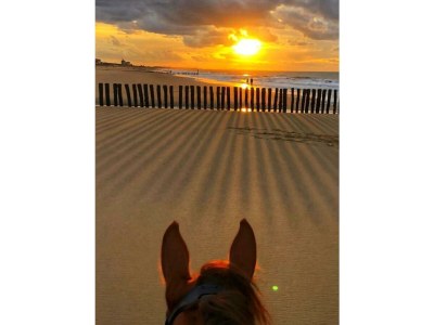 Holiday house Martina - Environment photo 35