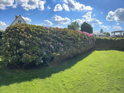 Holiday apartment Schlossblick Braunfels - Outdoor photo 14