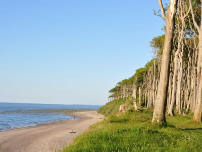 Villa Villa Dorothee App. 05 - Residenz Relexa - Environment photo 14