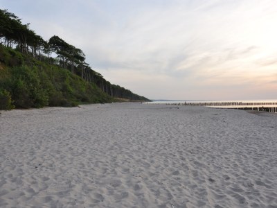 Villa Villa Dorothee App. 05 - Residenz Relexa - Environment photo 15