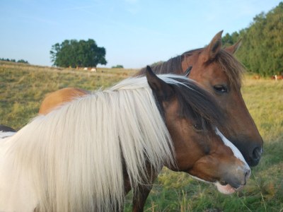 Holiday house Fox 3 - Environment photo 29