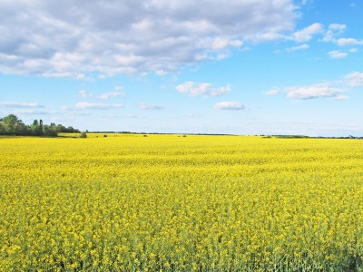 Holiday house Fox 3 - Environment photo 31