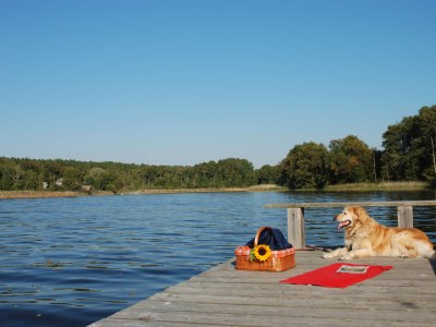 Holiday house Rohrdommel - Environment photo 14