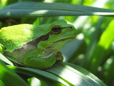 Holiday house Rohrdommel - Environment photo 18