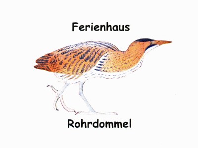 Holiday house Rohrdommel - Document photo 23