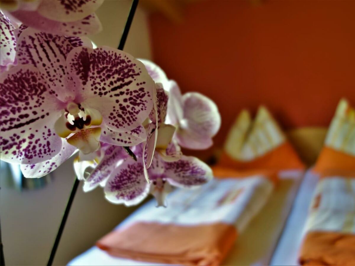 Holiday apartment Holiday home Theresia - Outdoor photo 3