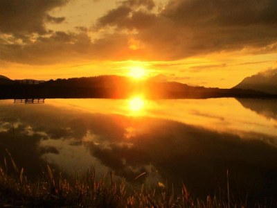 Holiday apartment Holiday home Theresia - Outdoor photo 9