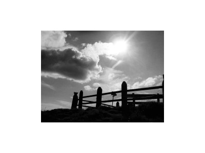 Holiday apartment Holiday home Theresia - Outdoor photo 12