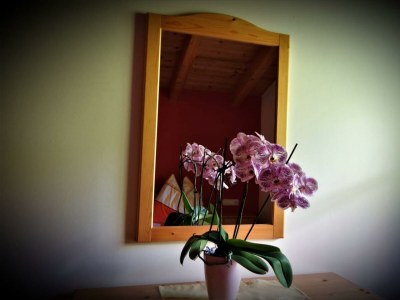 Holiday apartment Holiday home Theresia - Features photo 33