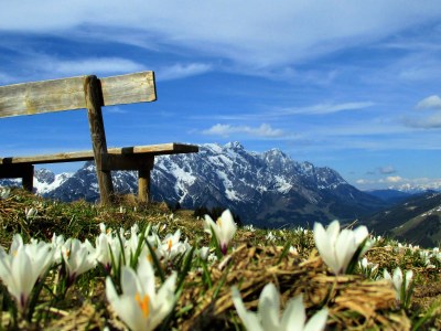 Holiday apartment Holiday home Theresia - Environment photo 53