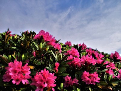 Holiday apartment Holiday home Theresia - Environment photo 56