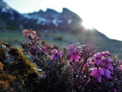 Holiday apartment Holiday home Theresia - Environment photo 57