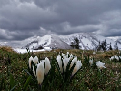 Holiday apartment Holiday home Theresia - Environment photo 59