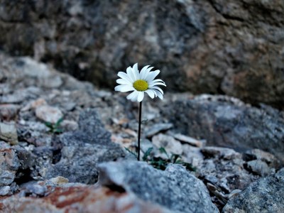 Holiday apartment Holiday home Theresia - Environment photo 68