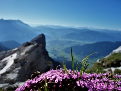 Holiday apartment Holiday home Theresia - Environment photo 69