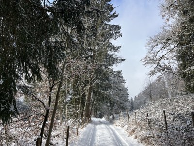 Holiday house Stadtvilla - Environment photo 39