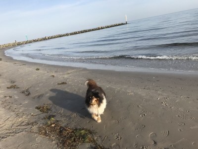 Holiday house Wellness und Meer - Environment photo 20