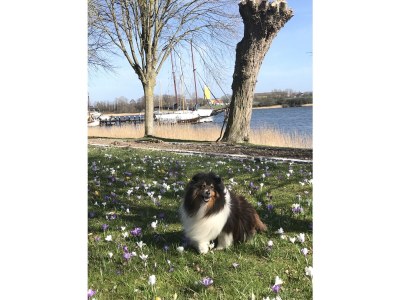 Holiday house Wellness und Meer - Environment photo 21