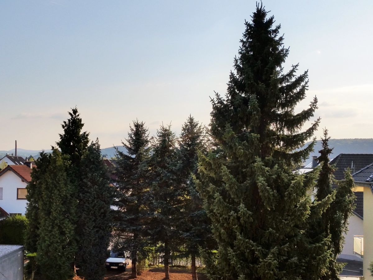 Holiday apartment Shepherd - Outdoor photo 3