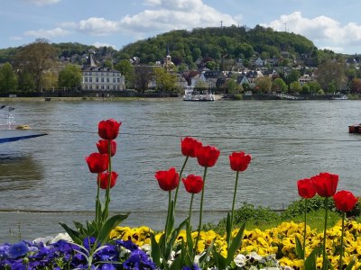 Holiday apartment Shepherd - Environment photo 24