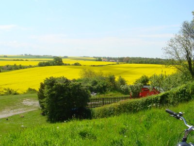 Holiday apartment Villa Seestern Seaview - Environment photo 26