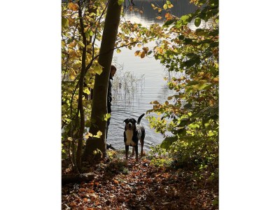 Holiday house Shaal Sea domicile - Environment photo 30