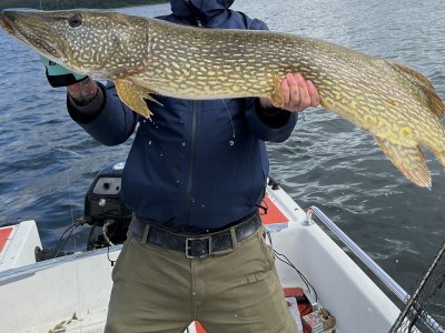 Holiday house Shaal Sea domicile - Environment photo 32