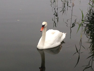 Holiday house Shaal Sea domicile - Environment photo 33