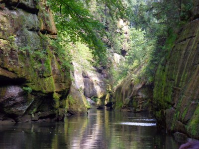 Holiday apartment Ferienappartement Friebel Bad Schandau - Environment photo 13