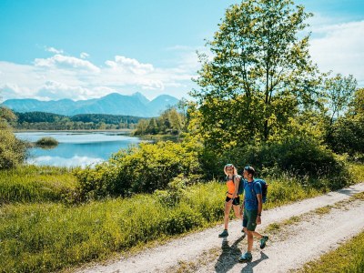 Holiday apartment Krassnig - Environment photo 25