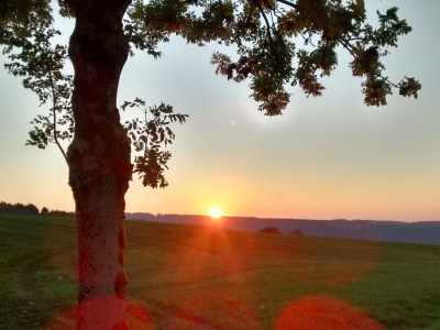 Holiday house Vedder in Herscheid - Holiday house