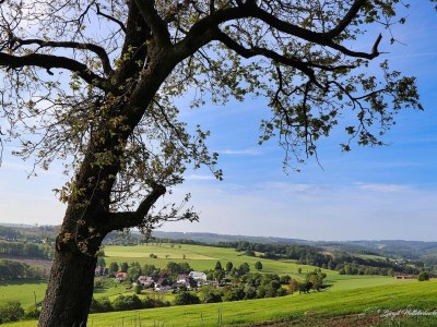 Holiday house Vedder - Environment photo 26