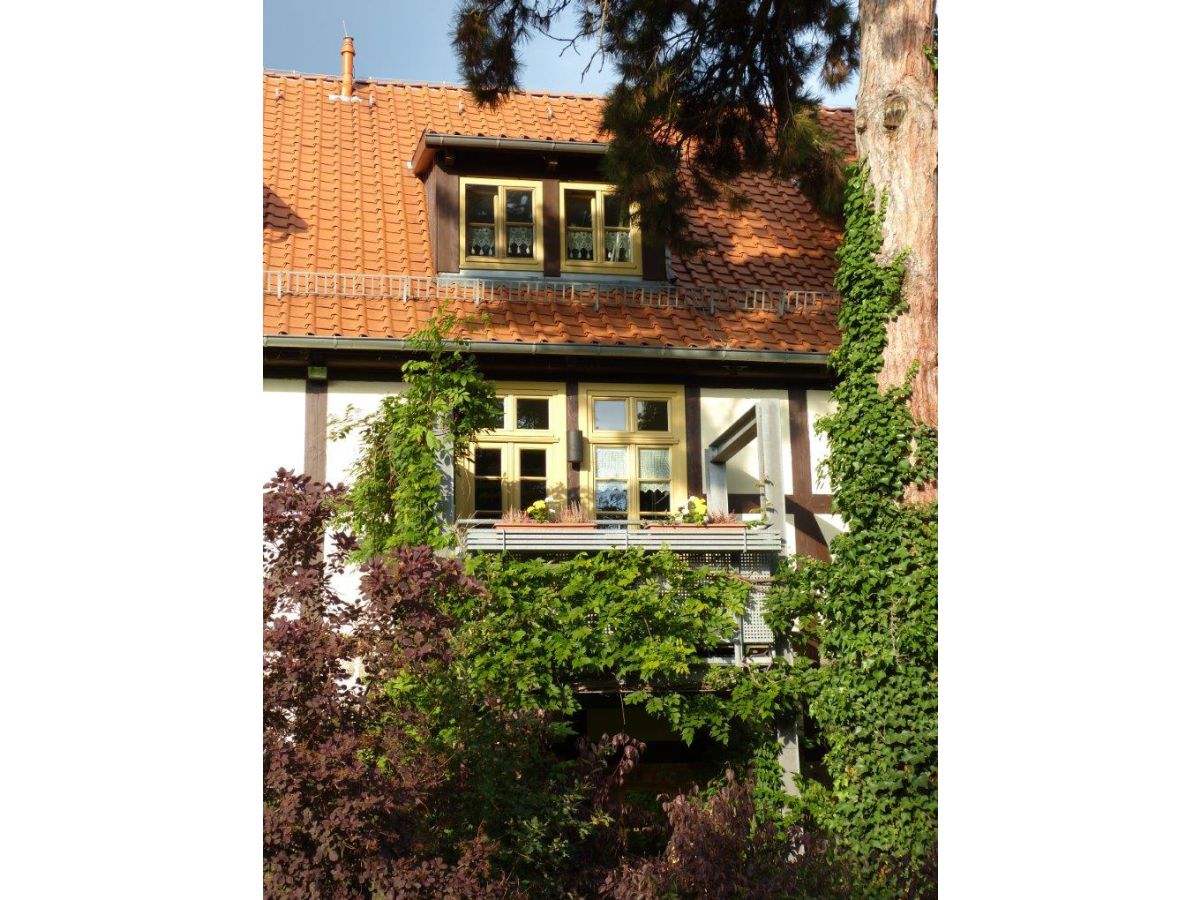 Holiday apartment Apartment on the park - Outdoor photo 3