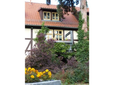 Holiday apartment Apartment on the park in Quedlinburg - Holiday apartment